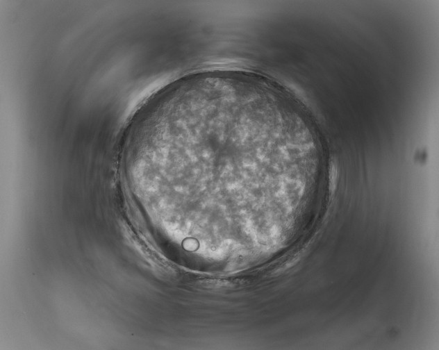 X0000114561405200911161213