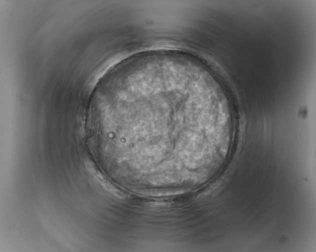 X0000114561409200911161213