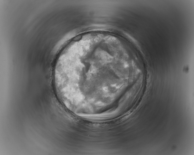 X0000114561411200911161213