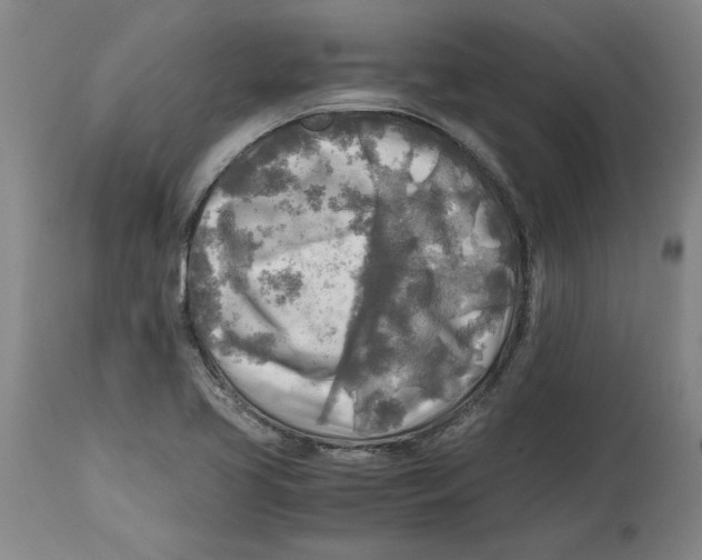 X0000114561413200911161213