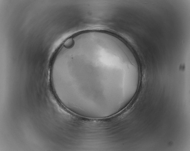 X0000114561414200911161213