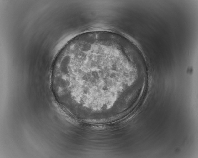 X0000114561415200911161213