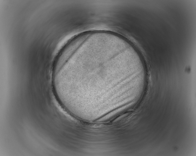 X0000114561416200911161213