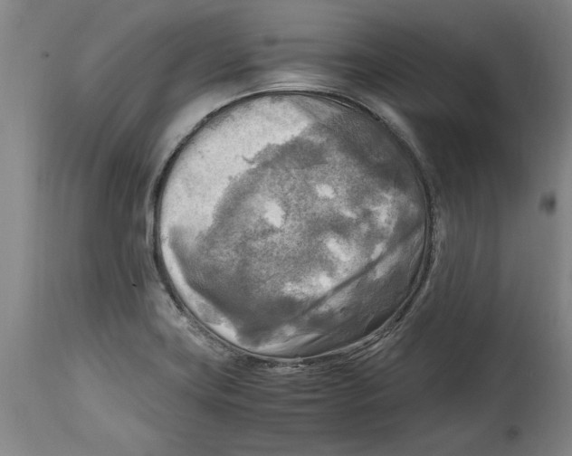 X0000114561419200911161213