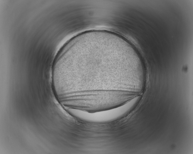 X0000114561420200911161213