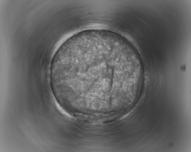 X0000114561421200911161213