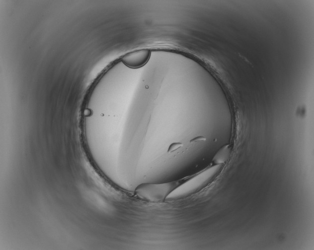 X0000114561422200911161213