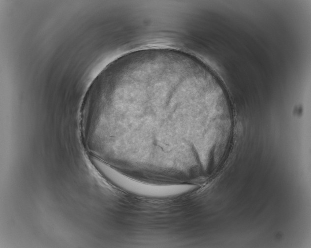 X0000114561423200911161213