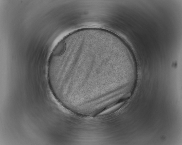 X0000114561424200911161213