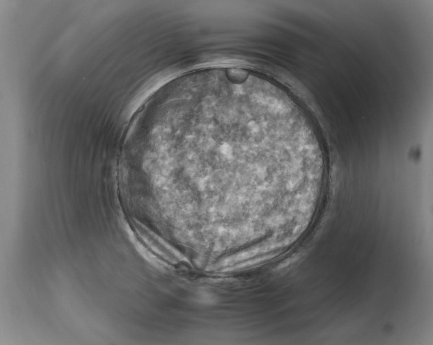 X0000114561425200911161213