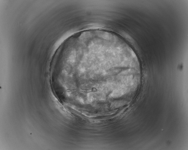 X0000114561427200911161213