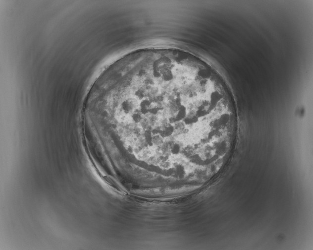 X0000114561429200911161213