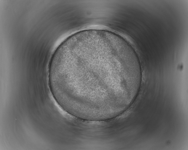 X0000114561430200911161213