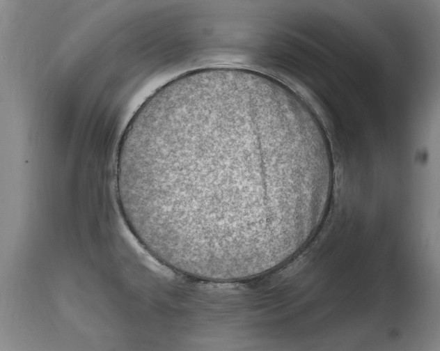 X0000114561432200911161213
