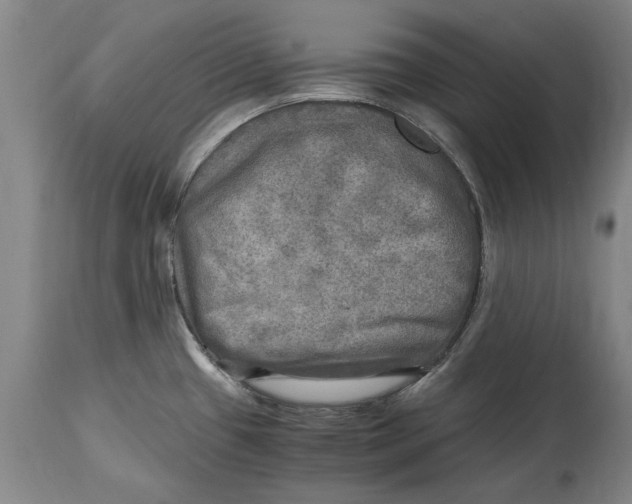 X0000114561433200911161213