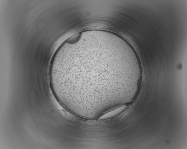 X0000114561434200911161213