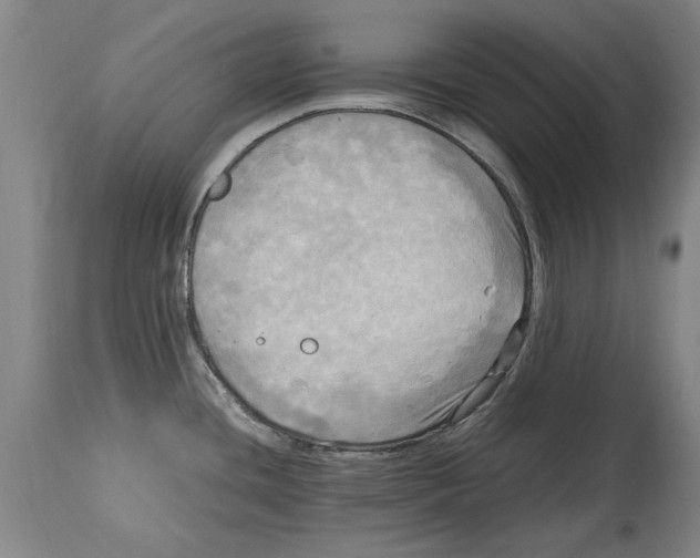 X0000114561436200911161213