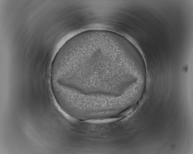 X0000114561437200911161213