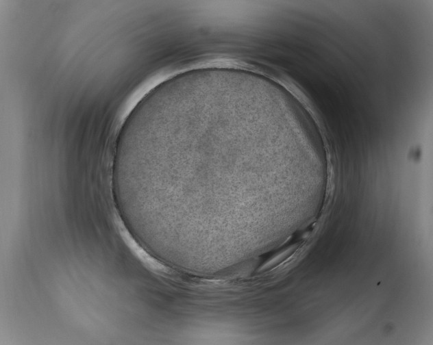 X0000114561438200911161213