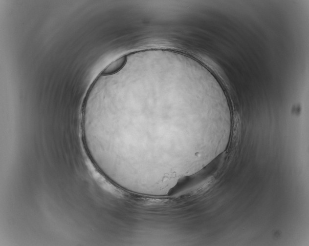 X0000114561439200911161213