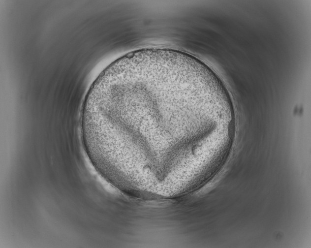 X0000114561440200911161213