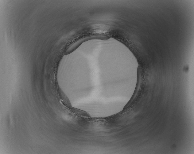 X0000114561441200911161212