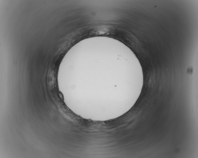 X0000114561442200911161212