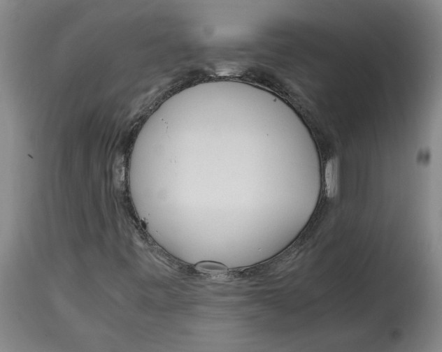 X0000114561443200911161212