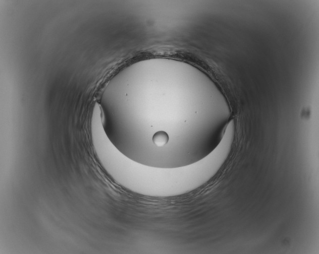 X0000114561444200911161212