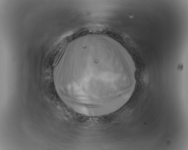 X0000114561445200911161212