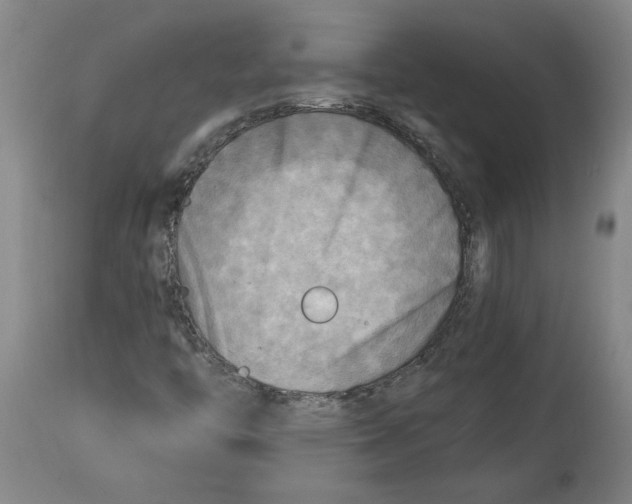 X0000114561446200911161212
