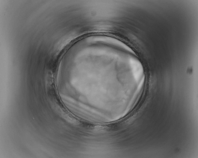 X0000114561449200911161212