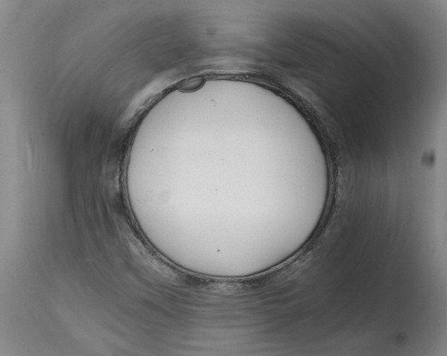 X0000114561451200911161212