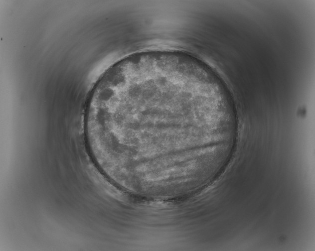 X0000114561459200911161212