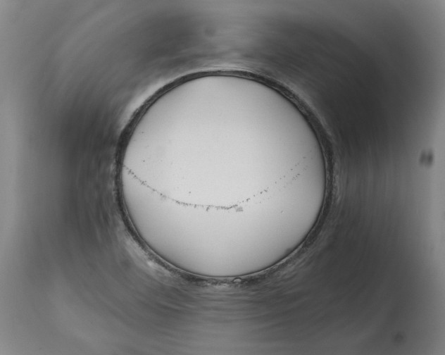 X0000114561460200911161212