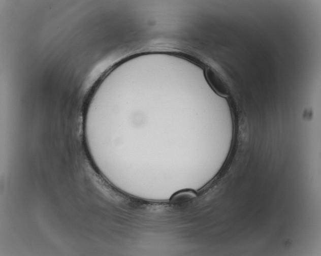 X0000114561461200911161212