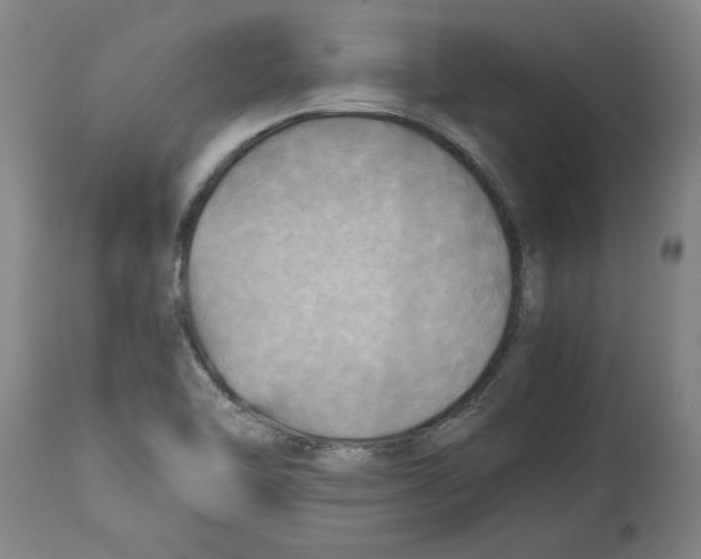 X0000114561462200911161212