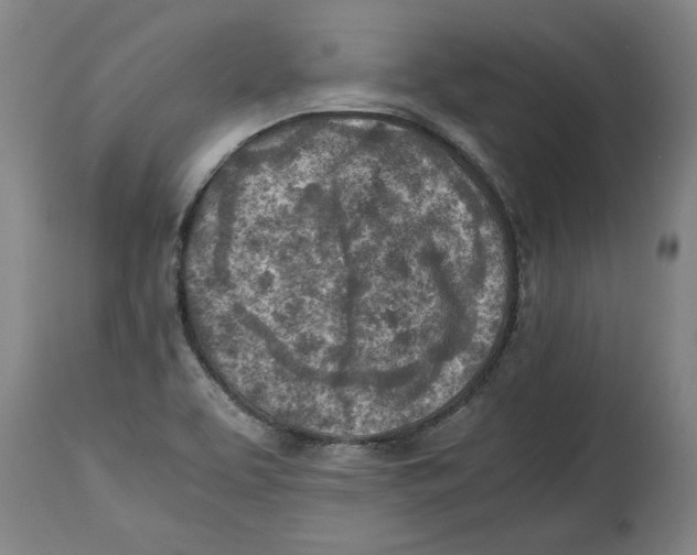 X0000114561463200911161212