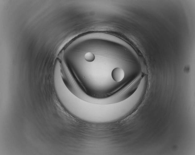 X0000114561465200911161212