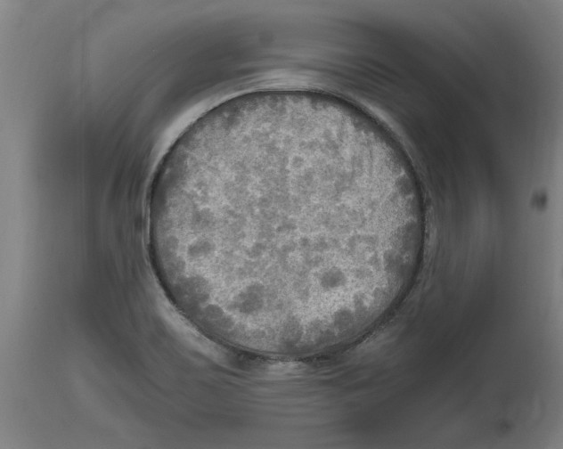 X0000114561467200911161212