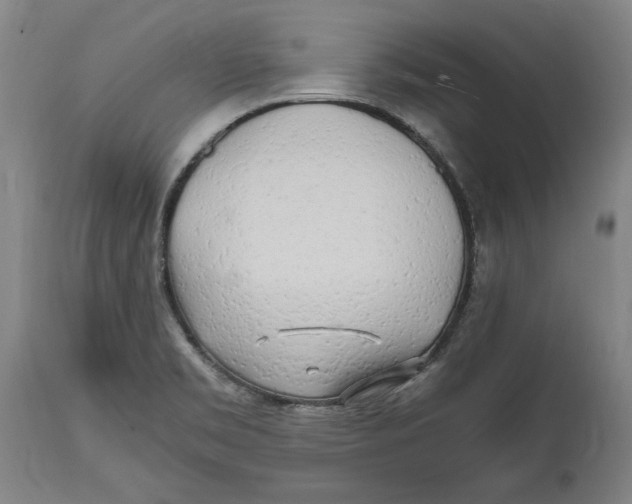 X0000114561469200911161212