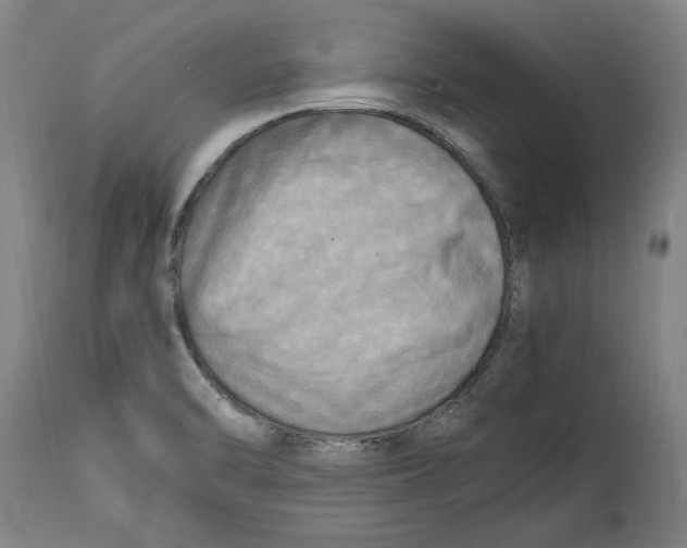 X0000114561470200911161212