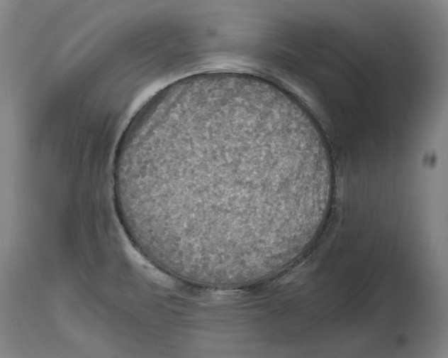 X0000114561471200911161212