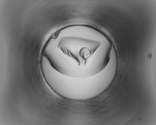 X0000114561472200911161212