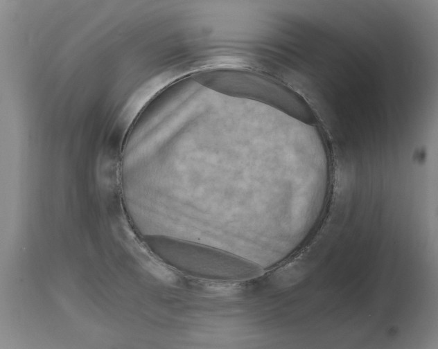 X0000114561473200911161212