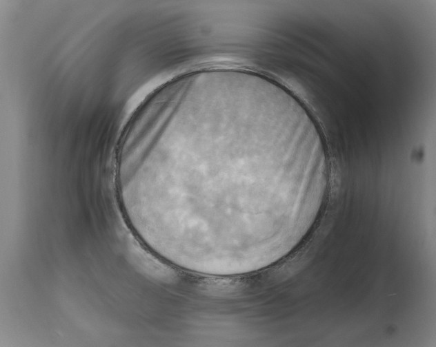 X0000114561474200911161212
