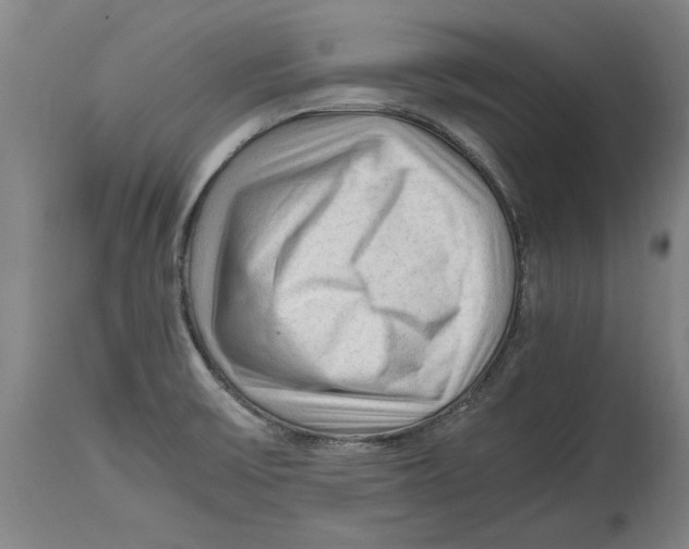 X0000114561475200911161212