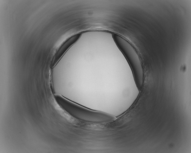 X0000114561476200911161212