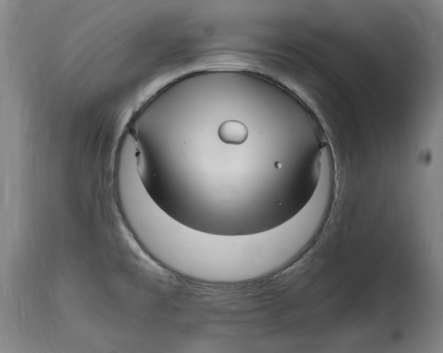 X0000114561477200911161212