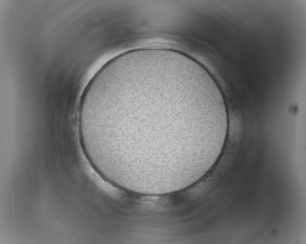 X0000114561478200911161212